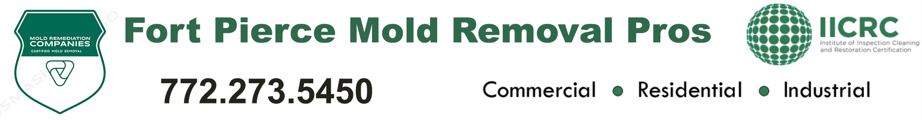 Fort Pierce Mold Removal Pros