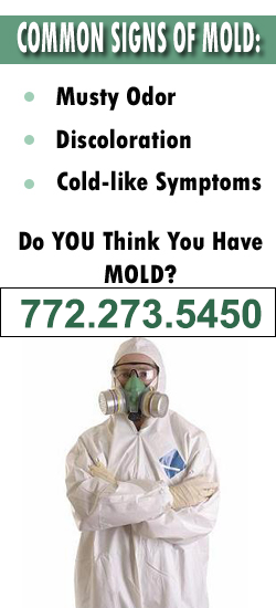 Fort Pierce Mold Remediation Contractor